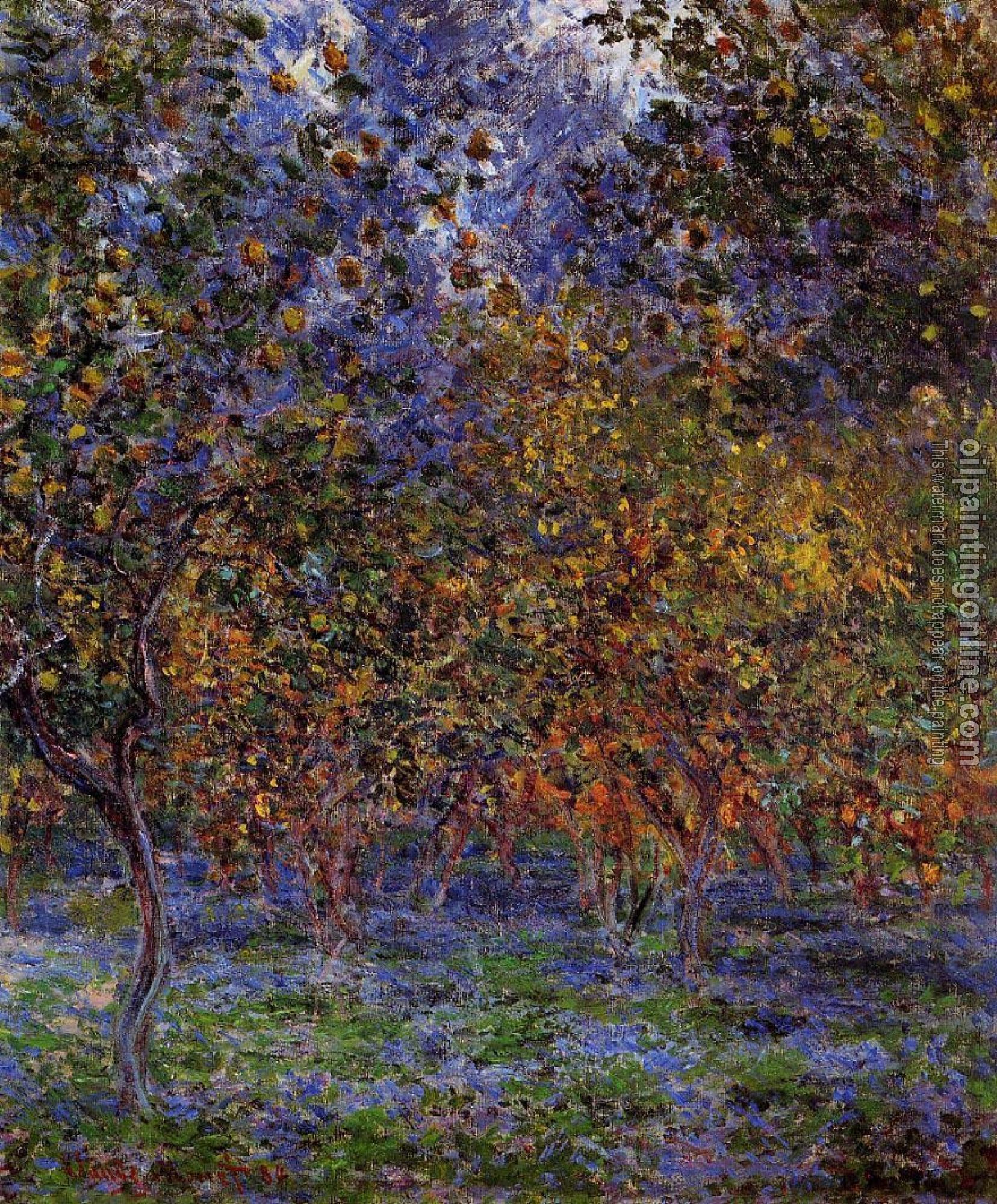 Monet, Claude Oscar - Under the Lemon Trees